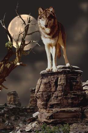 Framed Moonlighter Print