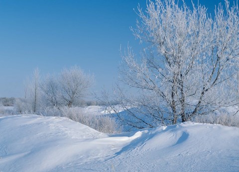 Framed Snow Terrain II Print