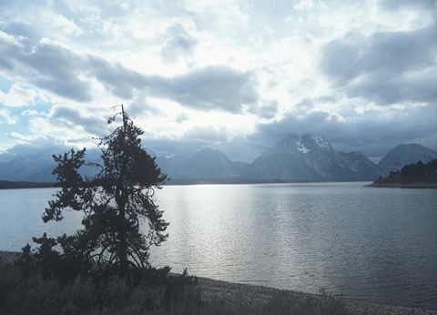 Framed Grand Teton 16 Print