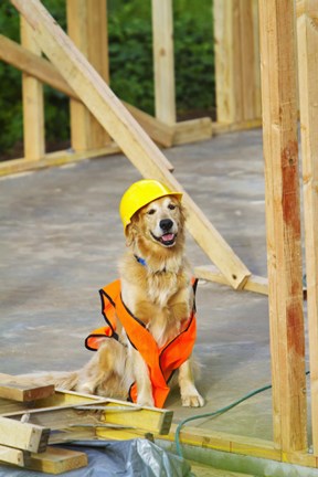 Framed Canine Construction I Print
