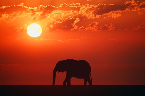 Framed Elephant Sunset Silhouette Print