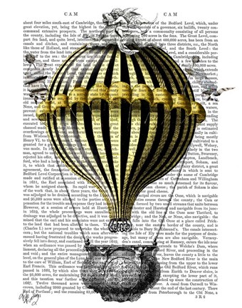 Framed Baroque Fantasy Balloon 2 Print