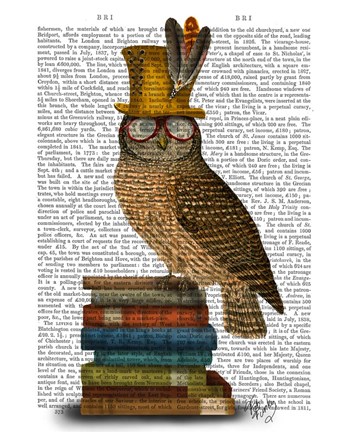Framed Owl On Books Print