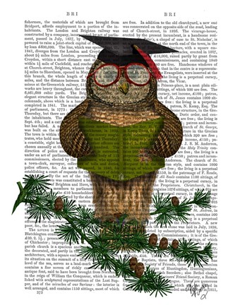 Framed Owl Reading On Branch Print