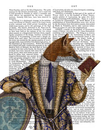 Framed Book Reader Fox Print