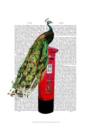 Framed Peacock on Postbox Print