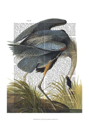 Framed Blue Heron 1 Print