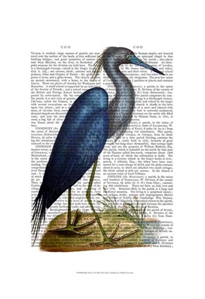 Framed Blue Heron 2 Print