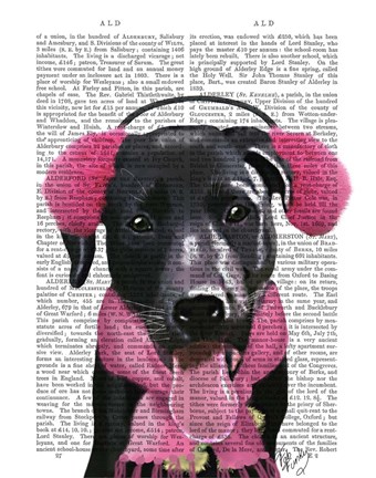 Framed Black Labrador With Ear Muffs Print