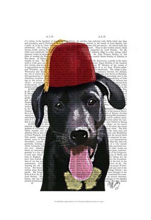 Framed Black Labrador With Fez Print