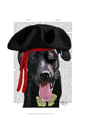 Framed Black Labrador Pirate Print