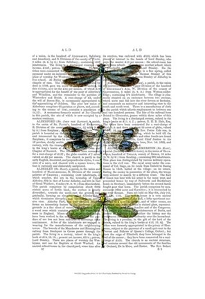 Framed Dragonflies Print 2 Print