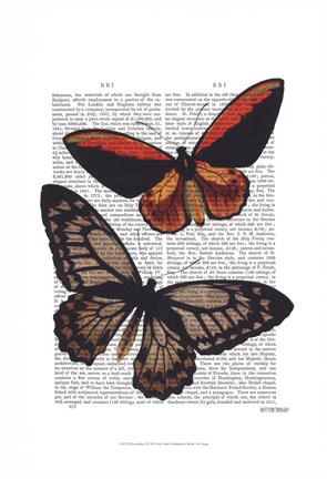Framed Butterflies 2 Print
