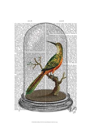 Framed Bird In Bell Jar Print