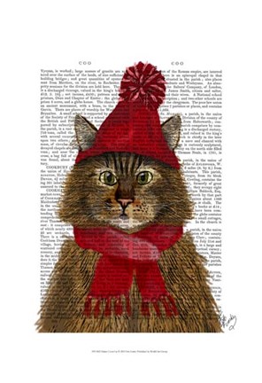 Framed Maine Coon Cat Print