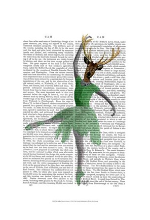 Framed Ballet Deer in Green I Print