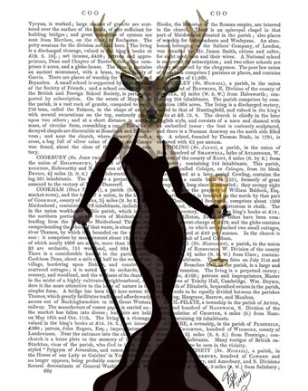 Framed Glamour Deer in Black Print