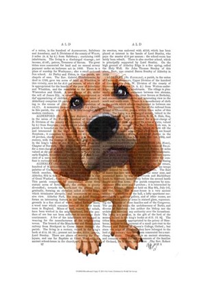 Framed Bloodhound Puppy Print