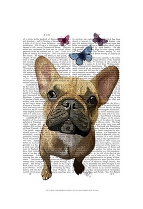 Framed Brown French Bulldog and Butterflies Print