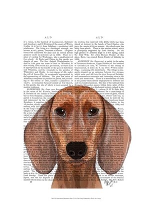 Framed Dachshund Illustration Plain Print