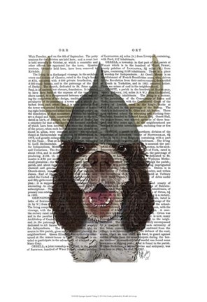 Framed Springer Spaniel Viking Print