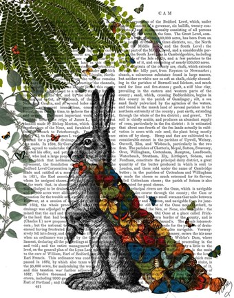 Framed Hare with Butterfly Cloak Print