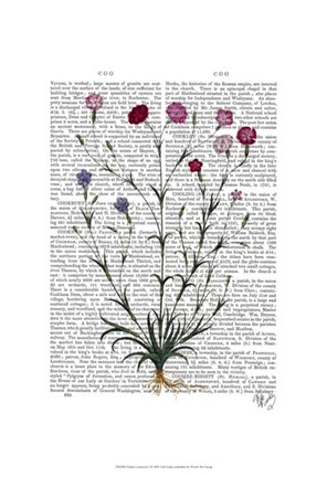 Framed Italian Carnation 5 Print