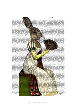Framed Miss Hare Print