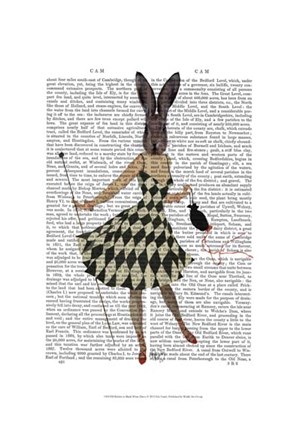 Framed Rabbit in Black White Dress Print