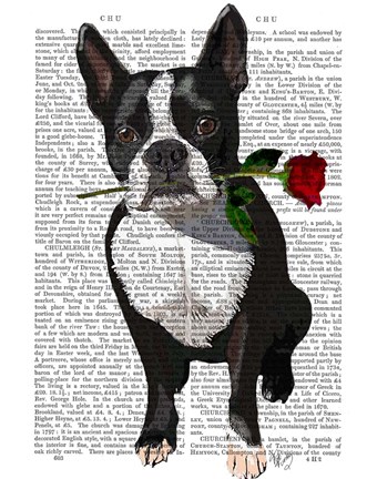 Framed Boston Terrier with Rose in Mouth Print