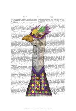 Framed Mardi Gras Goose Harlequin Jacket Print