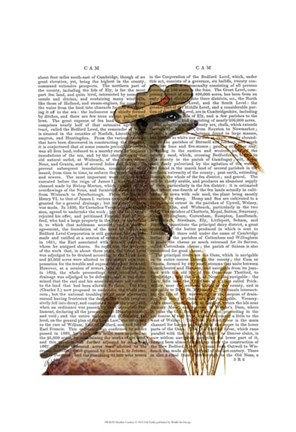 Framed Meerkat Cowboy Print