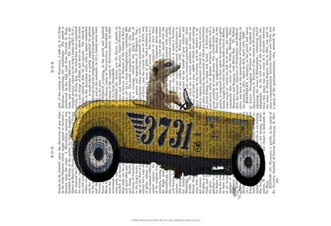 Framed Meerkat in Hot Rod Print