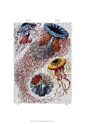 Framed Sea Anemone Print
