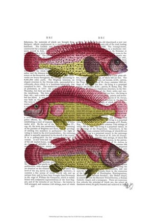 Framed Red and Yellow Fantasy Fish Trio Print