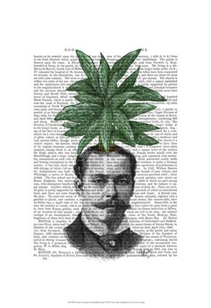 Framed Chinese Evergreen Head Plant Head Print
