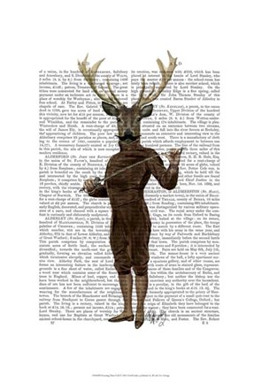 Framed Fencing Deer Full Print