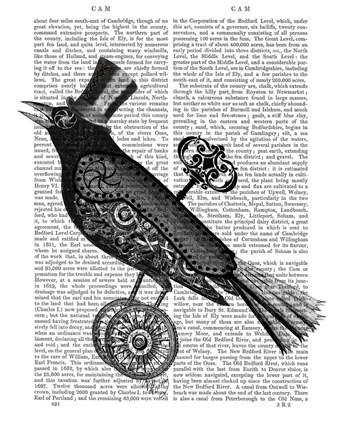 Framed Steampunk Crow Print