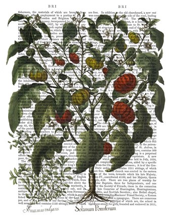 Framed Peppers 2 Print