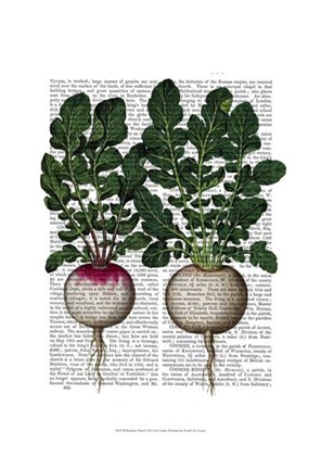 Framed Radishes Print Print