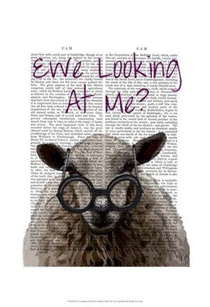 Framed Ewe Looking at Me DeNiro Sheep Print