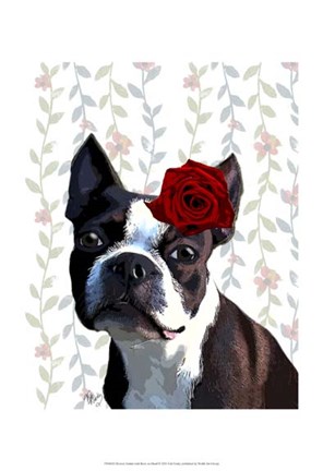 Framed Boston Terrier with Rose on Head Print