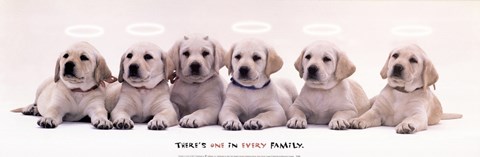 Framed Every Family Print