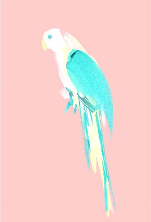 Framed Summer Parrot Print