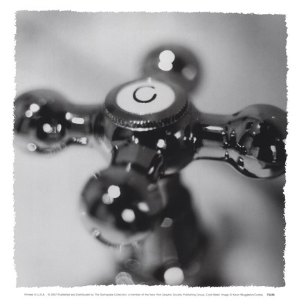 Framed Cold Water Print