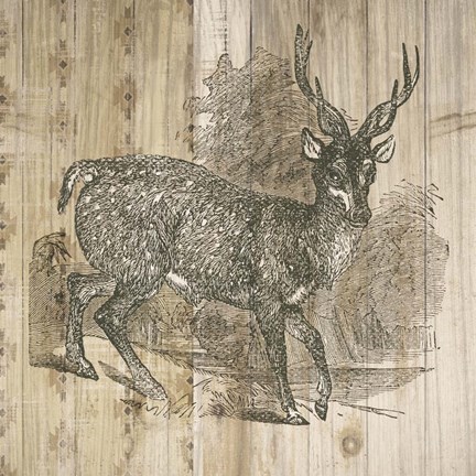 Framed Natural History Lodge III Print