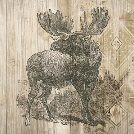 Framed Natural History Lodge VIII Print