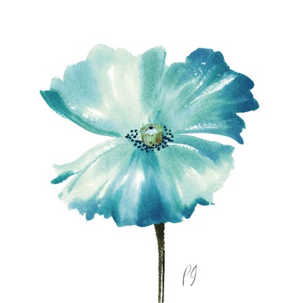 Framed Poppies Tempo II Print