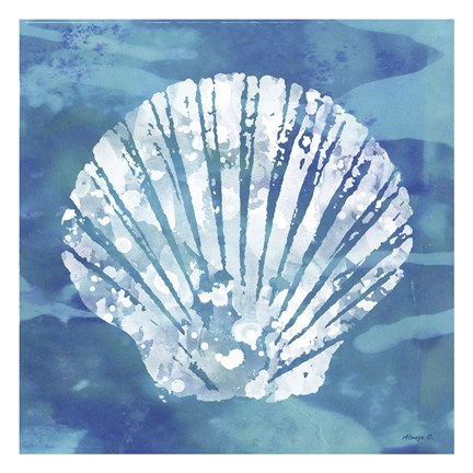Framed Sea Shell 2 Print