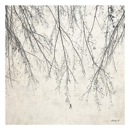 Framed Branches 3 Print